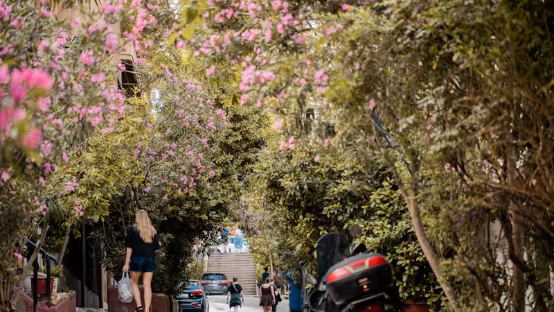 Kahramanmaraş Ekinözü Otel Yakini Escort