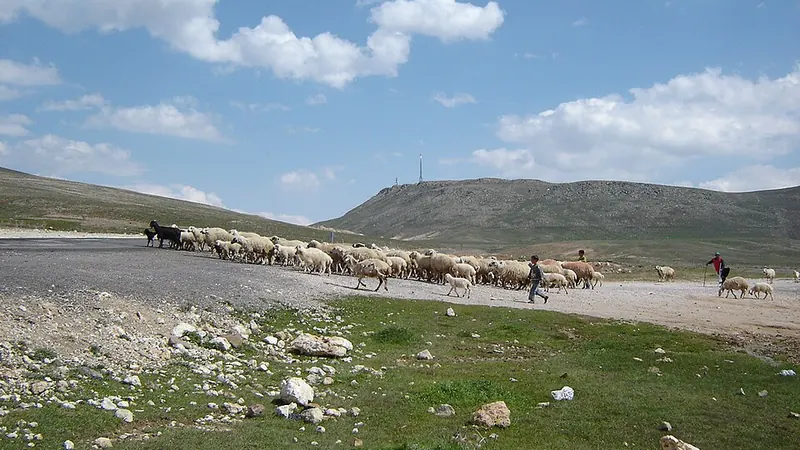 Kahramanmaraş'da Lüks Restoran ve Akşam Yemeği Önerileri