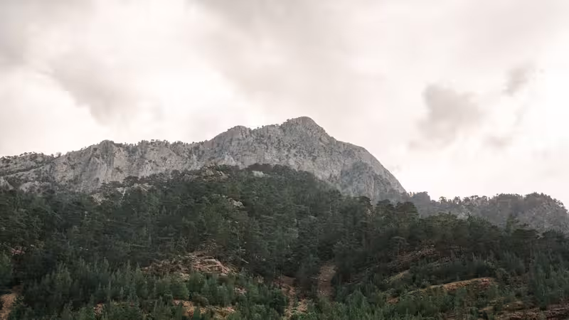 Kahramanmaraş Ekonomik Escort