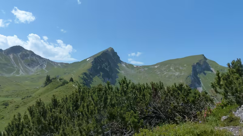 Kars Arpaçay Escort Fiyat Karsilastirma
