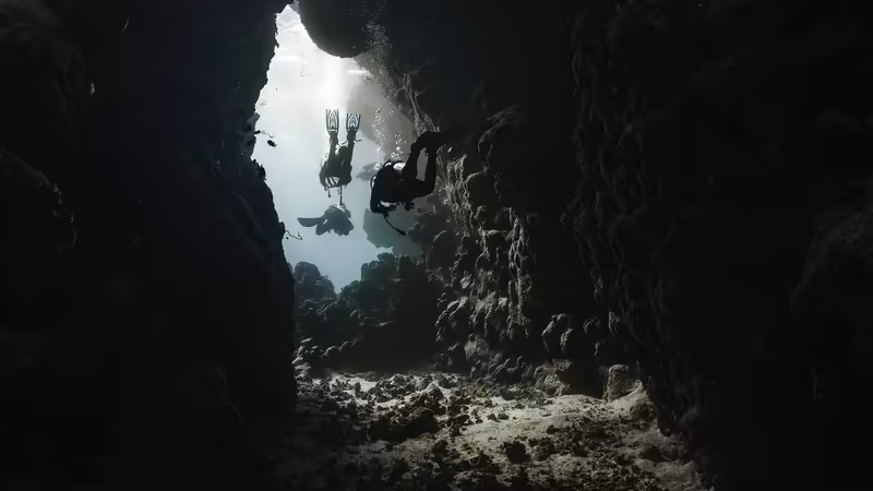 Kars Digor Gorusme Oncesi Video Dogrulama Istemek Normal Mi