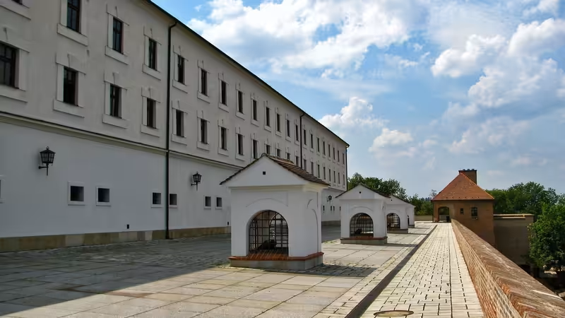 Kars Digor Merkez Eskort
