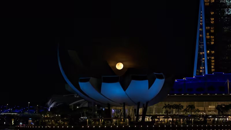 Kars Digor Ogrenci Escort