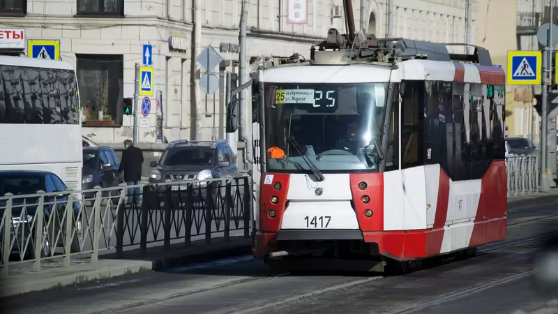 Kars Kağızman Esmer Escort