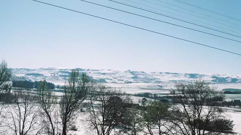 Kars Eskort Ara