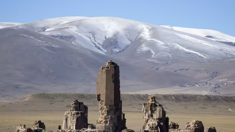Kars Susuz Eskort Ara