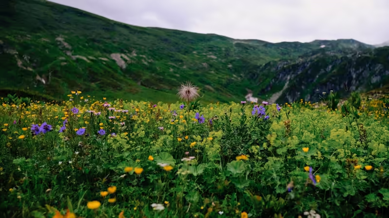 Kastamonu Azdavay'da Instagram için En İyi Fotoğraf Çekim Noktaları