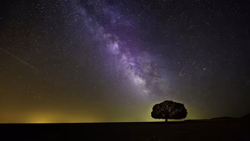 Kastamonu Çatalzeytin Ozel Eskort