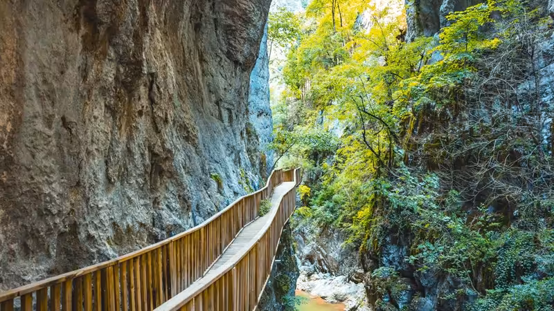 Kastamonu Devrekani Yakinda Bayan Bul