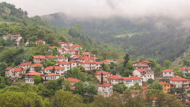Kastamonu Bayan Bul