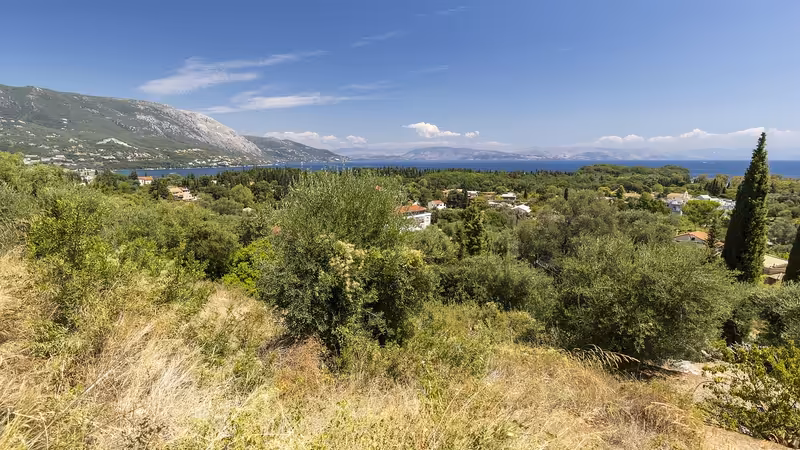 Kastamonu Şenpazar Escortun Yeni Numarasini Nasil Ogrenirim