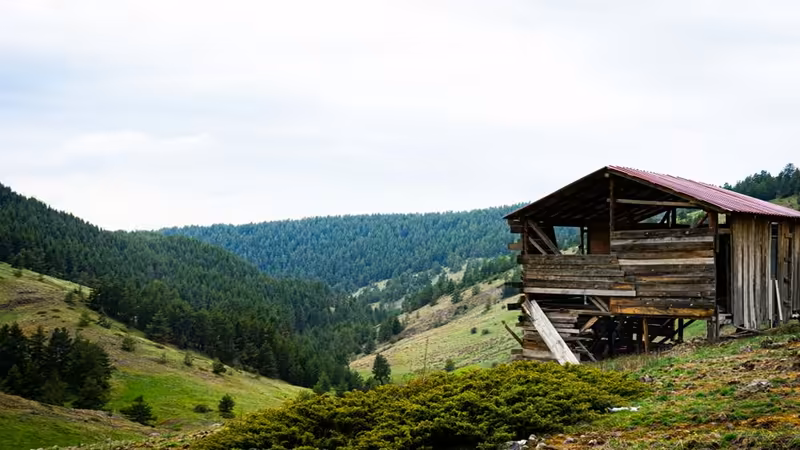Kastamonu Tosya Saatlik Elit Escort