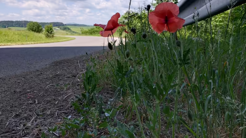 Kayseri Özvatan Efsaneleri ve Nesilden Nesile Aktarılan Hikayeler