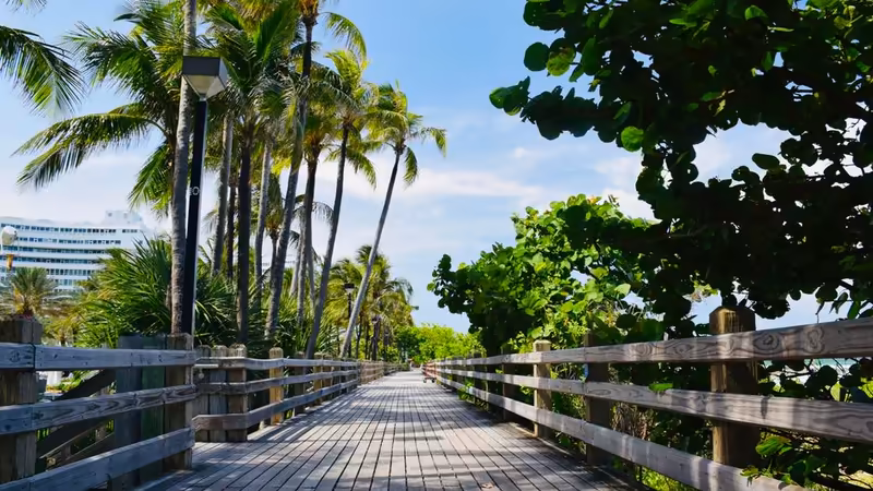 Kilis Transferli Escort