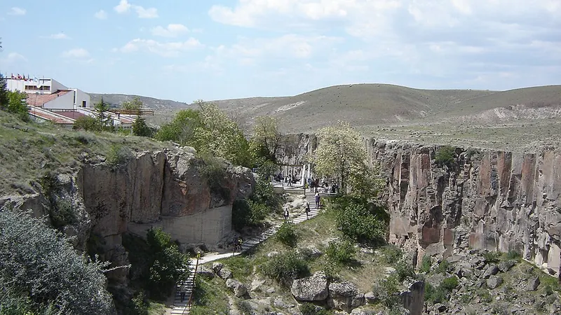 Kiraz'da Yeni İnsanlarla Tanışma Fırsatları - İzmir