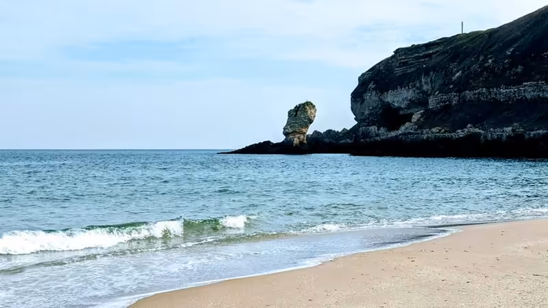 Kırklareli Vize Universiteli Escort Kizlar