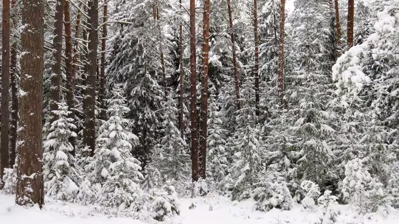 Kocaeli Kartepe'da Toplu Taşıma Rehberi ve Ulaşım Kartı Nasıl Alınır