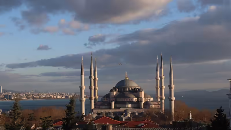Kocaeli Körfez Esmer Escort