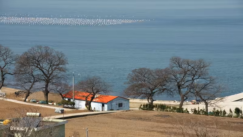 Kocaeli Luks Otel Bolgeleri