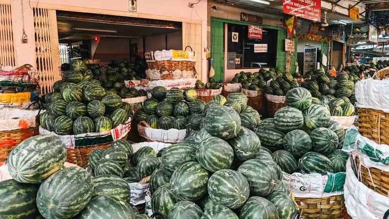 Konya Çeltik Ozel Eskort