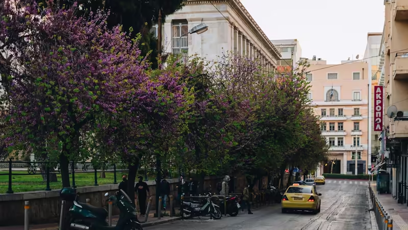 Konya Emirgazi Gunduz Escort