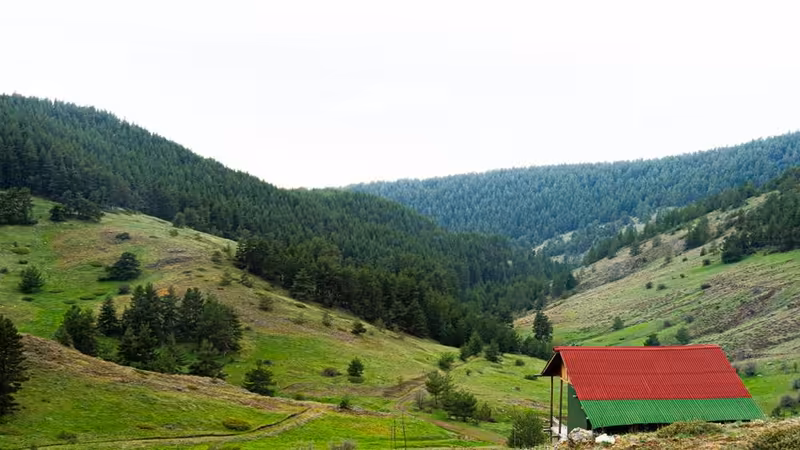 Konya Selçuklu'da Sağlık Hizmetleri Maliyetleri ve Sigorta