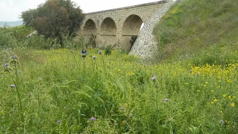 Köse'da Mahalle Kültürü ve Komşuluk İlişkileri - Gümüşhane