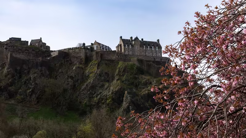 Malatya Doğanşehir Olgun Bayan