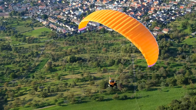 Malatya En Iyi Eskort