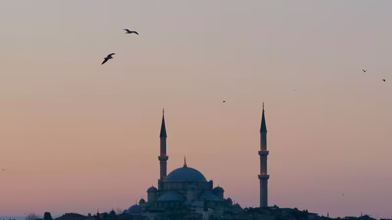 Malatya Yazıhan Ingilizce Konusan Escort