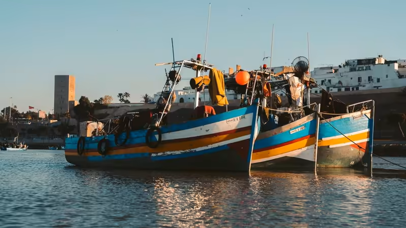 Manisa Selendi Saatlik Eskort