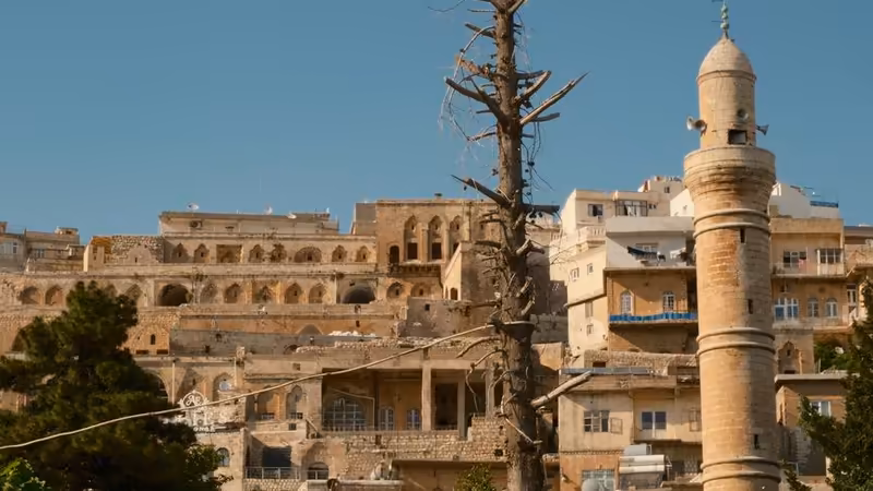 Mardin Artuklu Hemsire Profili Escort