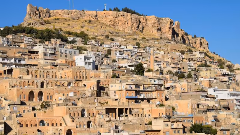 Mardin Artuklu VIP Bayan Bul