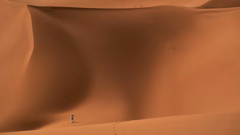 Mardin Yeni Acilan Escort Profillerine Guvenilir Mi