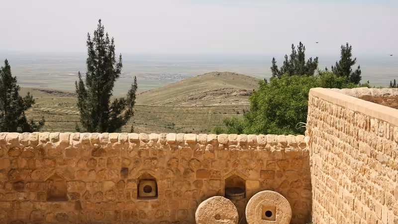 Mardin Ömerli Ogrenci Escort Bayanlar