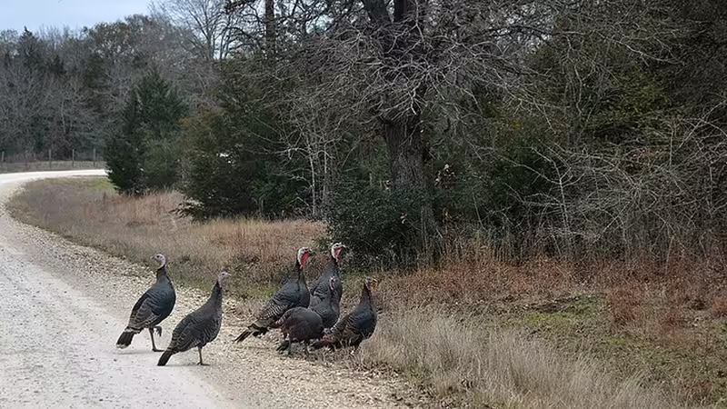 Merkez'da Güvenli ve Huzurlu Konaklama Yapılabilecek Bölgeler - Yalova
