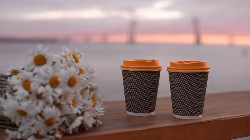 Mersin Çamlıyayla Eskort Sitesi
