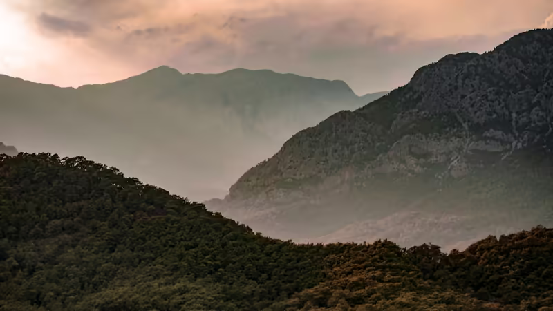 Muğla Dalaman'da Gece Geç Saat Açık En İyi Sokak Lezzetçileri