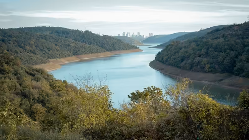 Muğla Dalaman'da Mahalle Kültürü ve Komşuluk İlişkileri