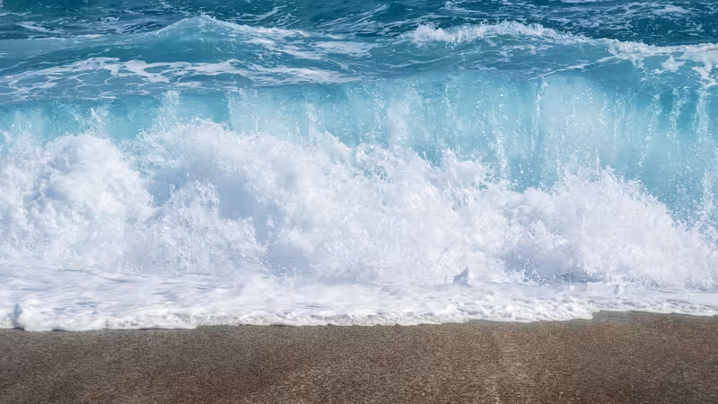 Muğla Dogal Gorunumlu Escort Bayanlar