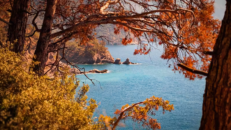 Muğla Marmaris Fotografli Bayan