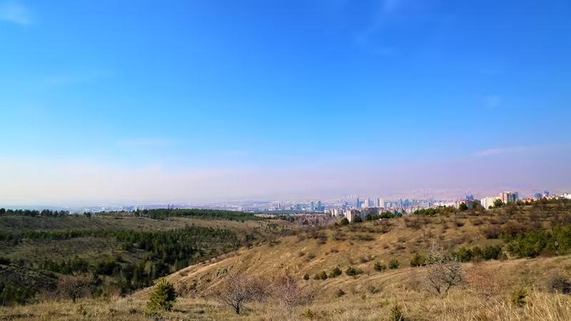 Muğla Milas Guvenilir Escort