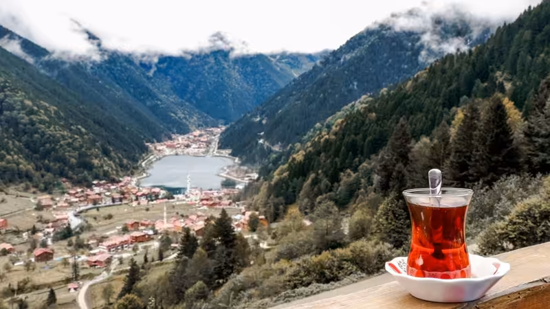 Muğla VIP Bayan Profilleri