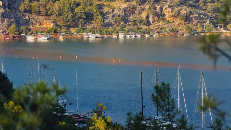 Muğla Gunluk Escort