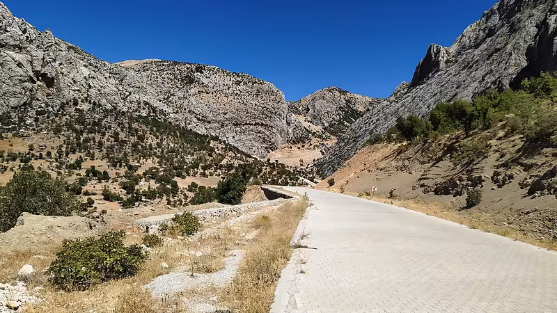 Muğla'da Özel Şoförlü Araç Kiralama Rehberi