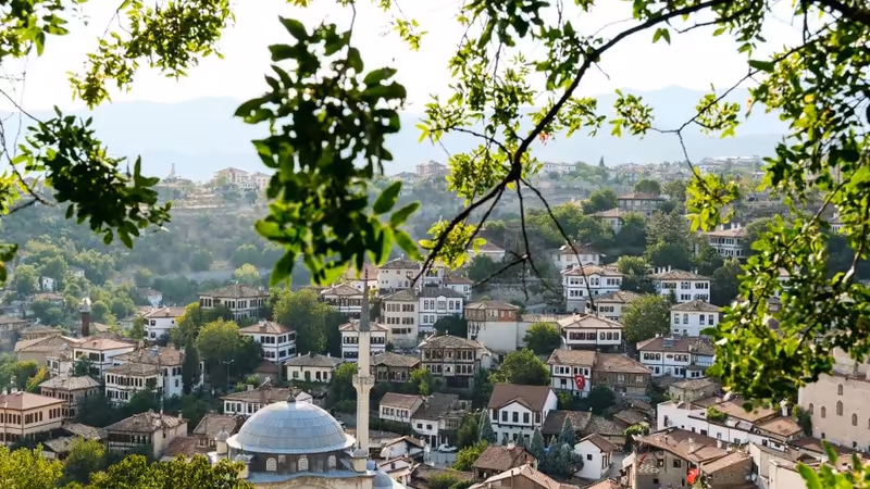 Muş Malazgirt Escort Ile Pazarlik Yapmak Dogru Mu