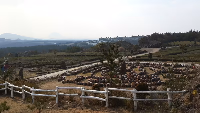 Muş Yetiskin Escort