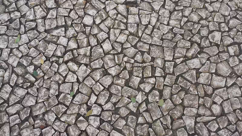 Niğde Eskort Bul