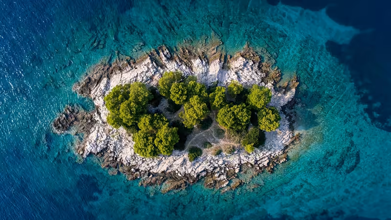 Ordu Akkuş Bayan Ilanlari
