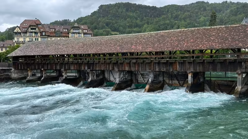 Ordu Altınordu Ozel Ilanlar